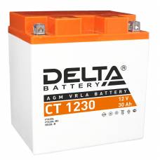 Аккумулятор для мототехники DELTA CT 1230 12В 30Ач 300А обратная пол.